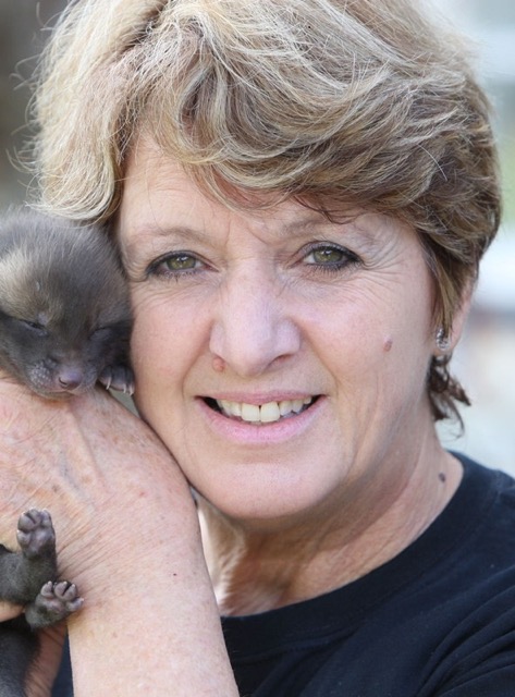 Pauline Kidner and Fox Cub