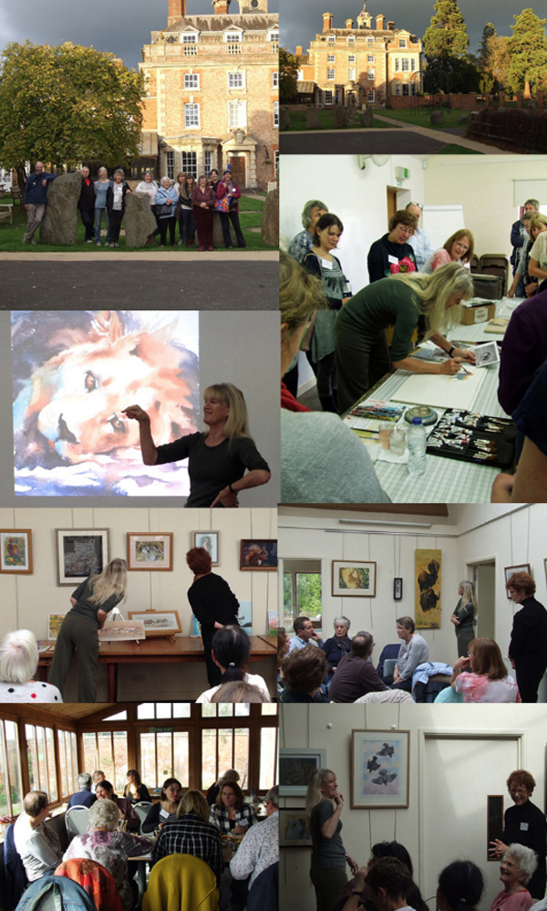 Nature in Art Weekend 2017