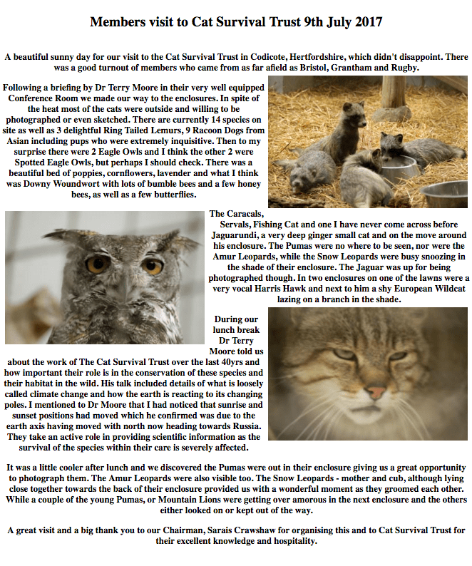 Screen Shot 2018-03-27 at 17.16.18