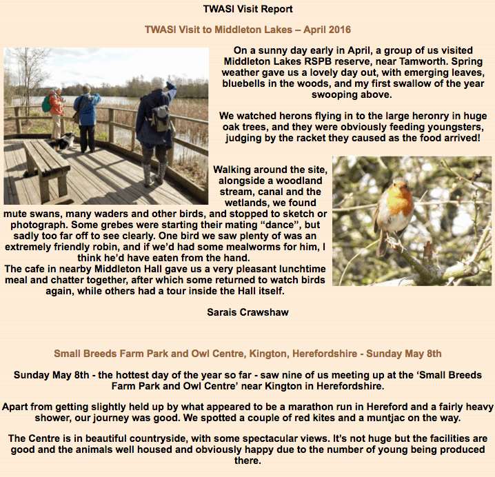 Screen Shot 2018-03-27 at 19.49.57