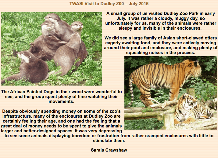 Screen Shot 2018-03-27 at 19.50.25