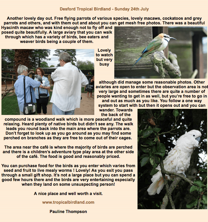 Screen Shot 2018-03-27 at 19.50.42