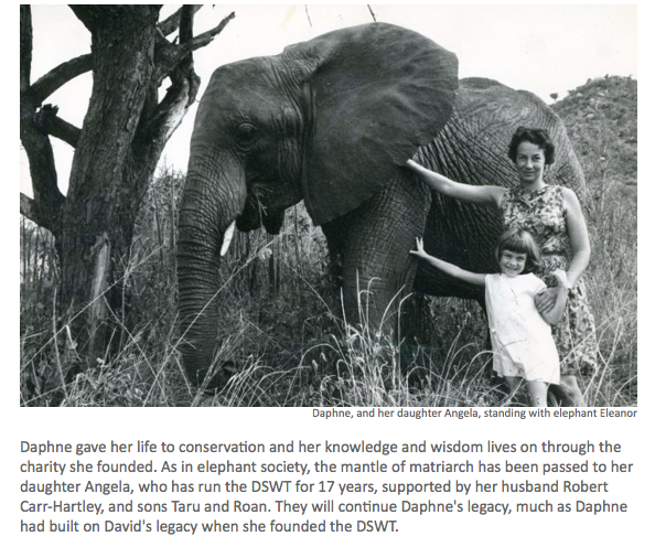 Dr. Dame Daphne Sheldrick DBE Obituary