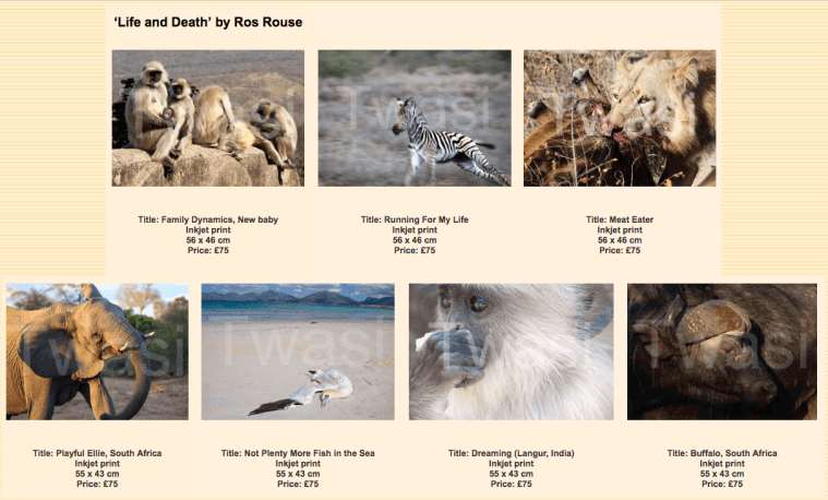 Screen Shot 2018-04-19 at 10.58.46