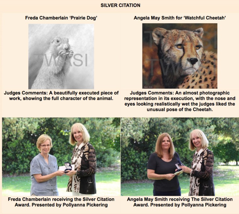 2017 Awards Silver Citation