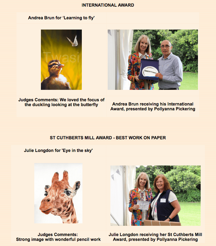 2017 Annual Exhibition Awards and Comments