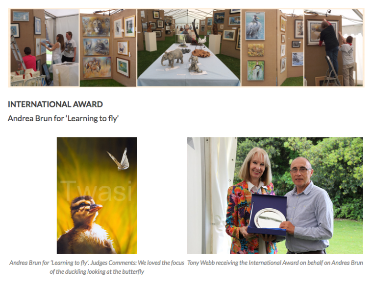 Screen Shot 2018-05-31 at 10.32.20