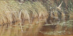 'Bitterns at Minsnere' by Frances Sullivan Bronze Citation 2018 Award