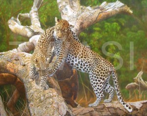 Mama and Binit by Angela Gaughan The Simon Combes Award 2018