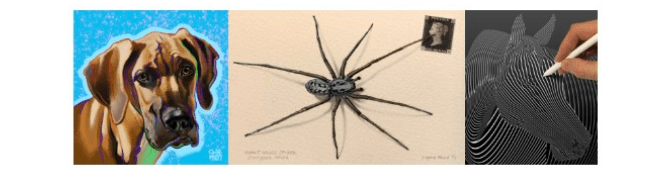 screen shot 2019-01-24 at 10.28.13