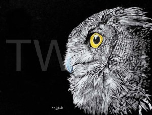 Eric Watson - Owl wterc@aol.com www.naturethroughart.com www.ericwatsonart.com