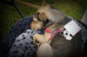 Chilling at the TWASI Nature in Art Exhibition 2019