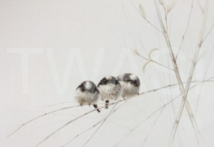 Clare Shaughnessy Gold Award for best painting or drawing Art Banditos