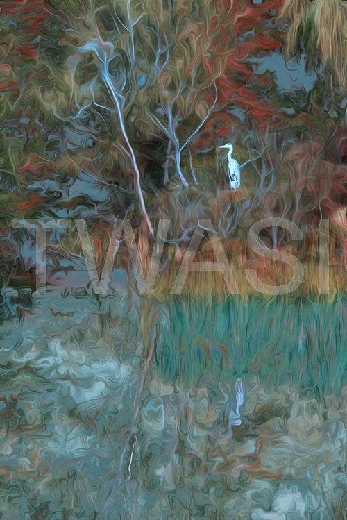 Dr Martin Raskovsky Gold Award for Computer Generated Art Ermintrude II