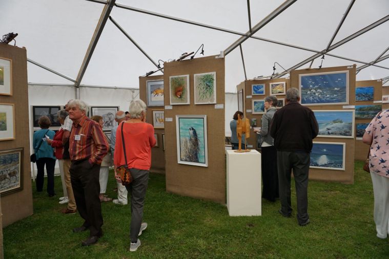 TWASI Nature in Art Exhibition 2019