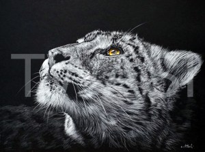 Eric C Watson Silver Award I can hear you