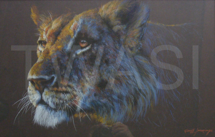 Geoff Jennings The Keith Shackleton Award 2