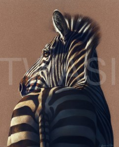 Julia Dubinina TWAS International Award Zebra