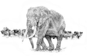 Nick Barker Simon Combes Award Majestic