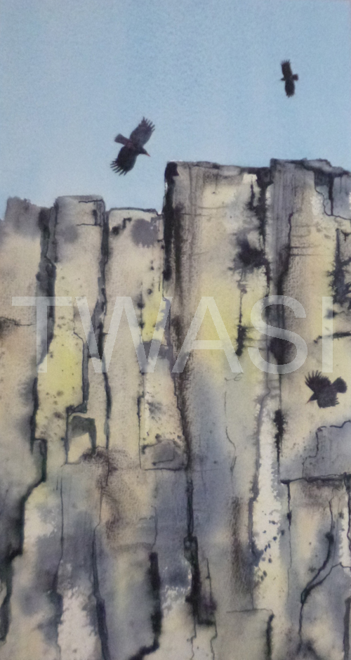 Susan Lambourne Christopher Parsons Award Flying Free