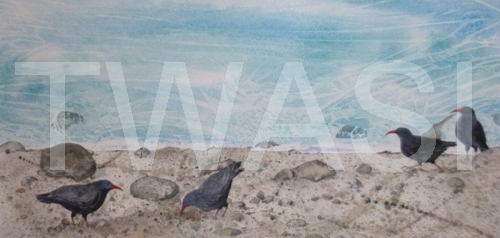 Susan Lambourne Christopher Parsons Award Tideline