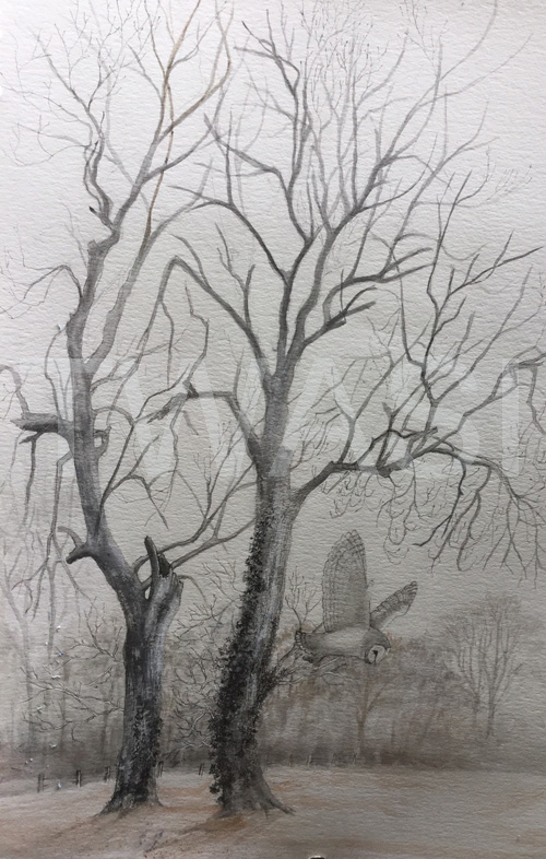 Victoria Parsons Bronze Citation Silent Hunter