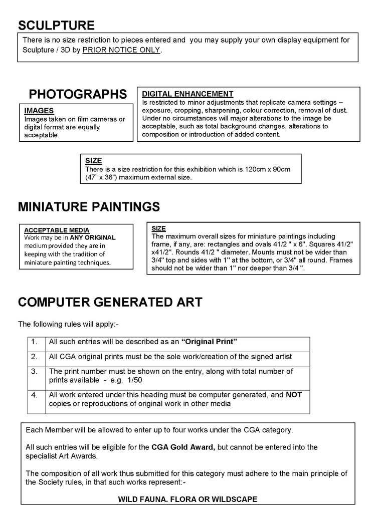 web site page regulations page 3