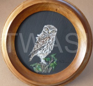 'I SPY...' by David Spencer Acrylic on Welsh Slate Framed 30cms diameter £115