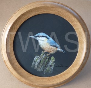 'Nutty' by David Spencer Acrylic on Welsh Slate Framed 30cms diameter £115