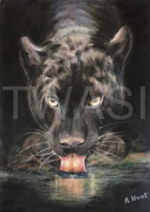 'Out of Darkness' by Ann Hunt Pastels on velour paper Unframed 35 x 25 £230