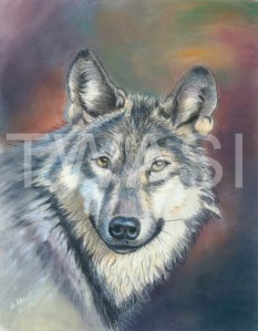 'Wolf' by Ann Hunt Coloured pencil & pastels Unframed 32 x 25 £230