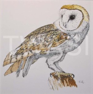 'Barn Owl' by Rosemary Gowland Ink and Acrylic Unframed 18 x18 £125