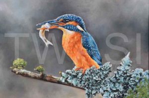 'Gone fishing' by Carie-Anne Goochild Framed 69 x 54 Oil £400