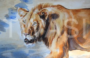 'Evicted' by Carol Barrett Watercolour Unframed Size 46 x 36cm £310