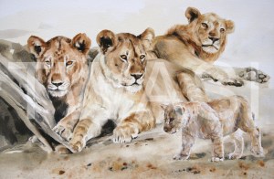 'Survivor' by Carol Barrett Watercolour Unframed Size 66 x 50cm £420