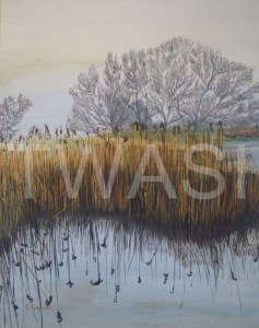 ‘Golden Reeds’ Llangorse Lake by Carole H Gaylard Acrylic Framed 57 x 67 cm £320