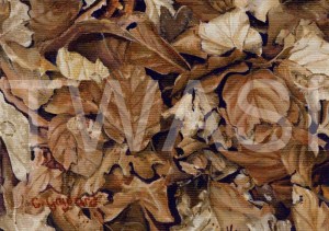 'Monochrome Beech' by Carole H Gaylard Acrylic Framed 35 x30 cm £140