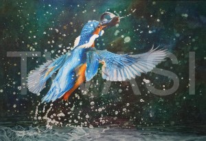 'Gotcha' by Caroline Strong Unframed 37 x 54 Watercolour £625