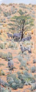 'Gemsbok Watching' by Christine Smith Acrylic 20 x 51 £185