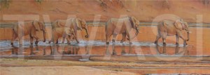'Luangwa River Crossing' by Christine Smith Acrylic Unframed 30 x 80 £320