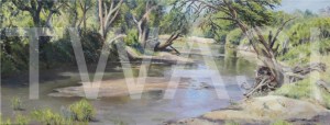 'The Grumeti River' by Christine Smith Acrylic Unframed 20 x 51 £185