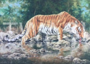 'Cool Water' by Cynthia Chandler Oil Framed 60 x 82 £500