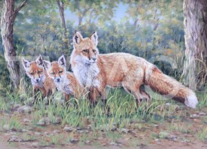 'Edge of the Woods' by Cynthia Chandler Pastel Mounted and framed 55 x 69 £400
