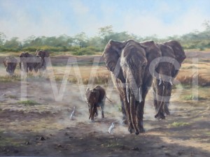 'The Matriach' by Cynthia Chandler Oil Framed 64 x 89 £500