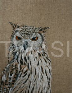 'Eagle Owl' by Christine Dadd Oil on Linen Framed 30 x 38 £ 250