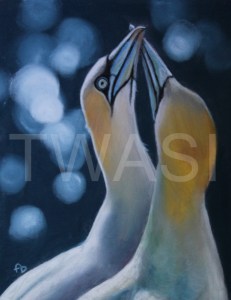 'True Love' by Frances Daunt Mixed media Unframed 18 x 24 £100