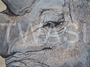 'Last of His Name' by Helen Rawlings Egg Tempura on gesso’d board Framed 30 x 24.5 £275