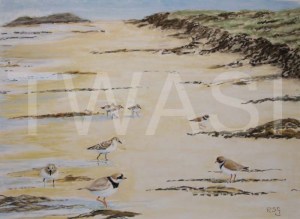 'High Tide' by Rosemary Gowland Pastel Unframed 38 x 27 £175