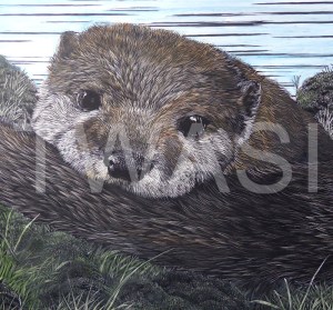 'Resting' by Jackie Cox Hand coloured scraperboard Mounted 33 x 33cm £145