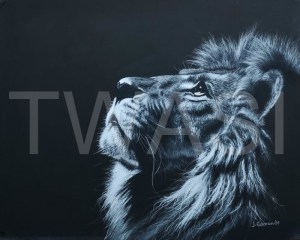 'Moon Gazing' by Jacqueline Edmonds Lion Moon Gazing Pastel Unframed (Mounted) 30 X 40 £225